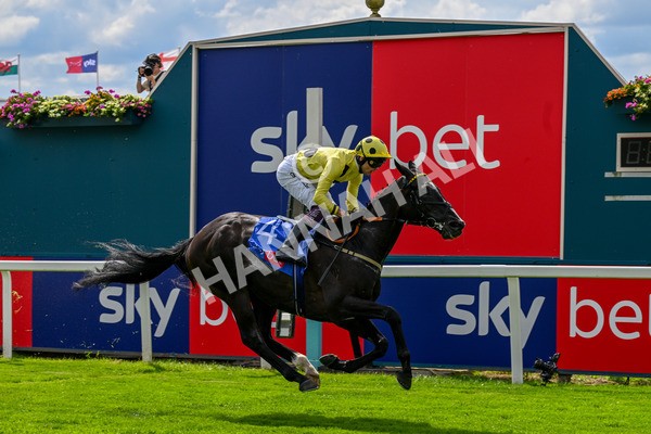260725-Race 3-Royal Champion-0471 - Race 3 2.40pm Sky Bet York Stakes