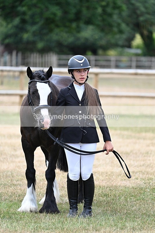 WJ7_1486 - Class 4 Prettiest Mare up to 14.2hh in hand
