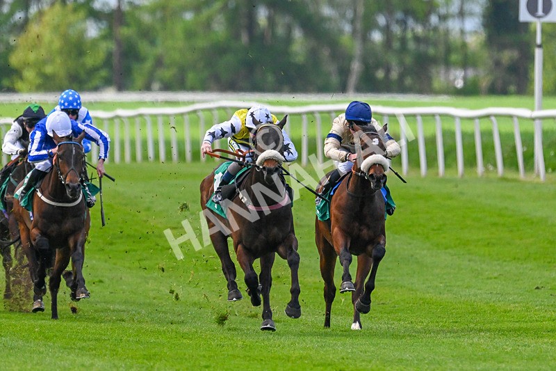 020526-Race 1-Arapaho Gold-9117 - Race 1 1.35pm Steve Poskitt's 60th Birthday Restricted Maiden Stakes