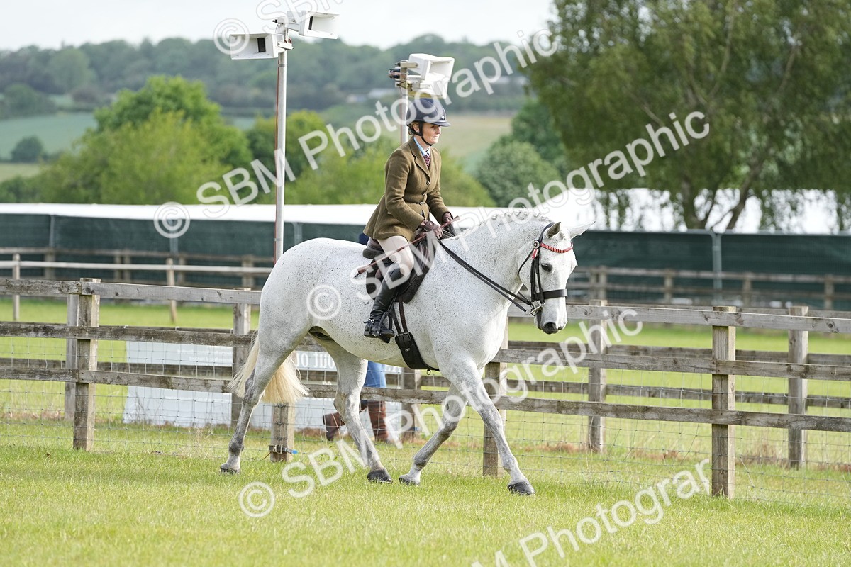 SBM_10567 - Class 97-98 - LIHS BSHA Rising Star Working Show Horse Hunter