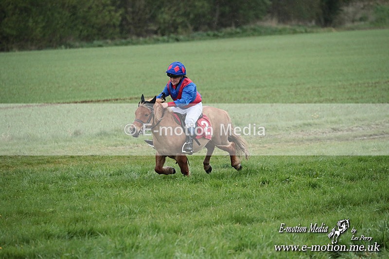 SHETPR 210425 96 - Shetland Ponies Paxford Races 21/04/25