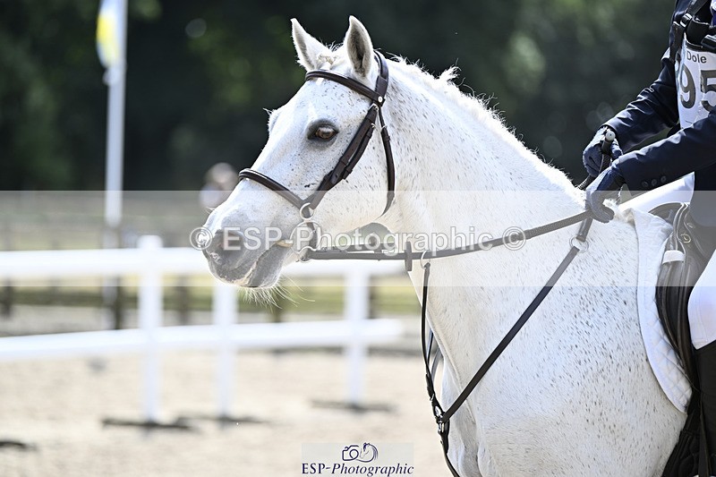 240823X-121506-16441 - 60cm R2 11.00 to 12.30