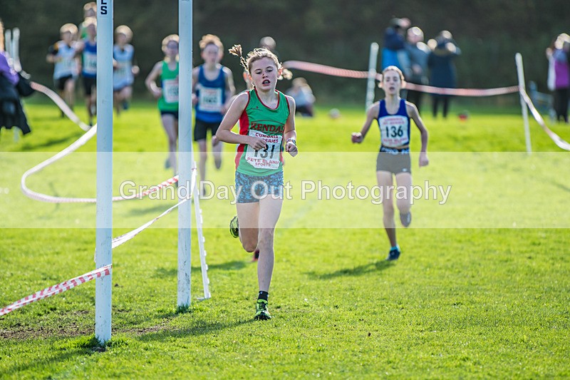 Cumbria XC-203 - Cumbria XC League Workington Saturday 26th October 2024