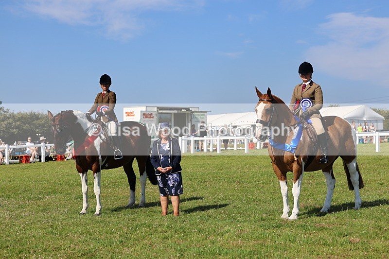 IMG_1682 - Skewbald and Piebald Ridden Championship