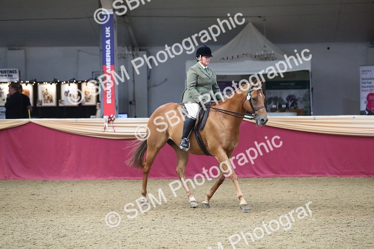 SBM_12368 - Class 108 Ridden Retired Racehorse- Pre Judging