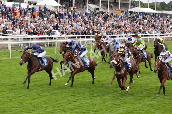 yr18082021r7-16 - Race 7 5.20pm Sky Bet Nursery Handicap