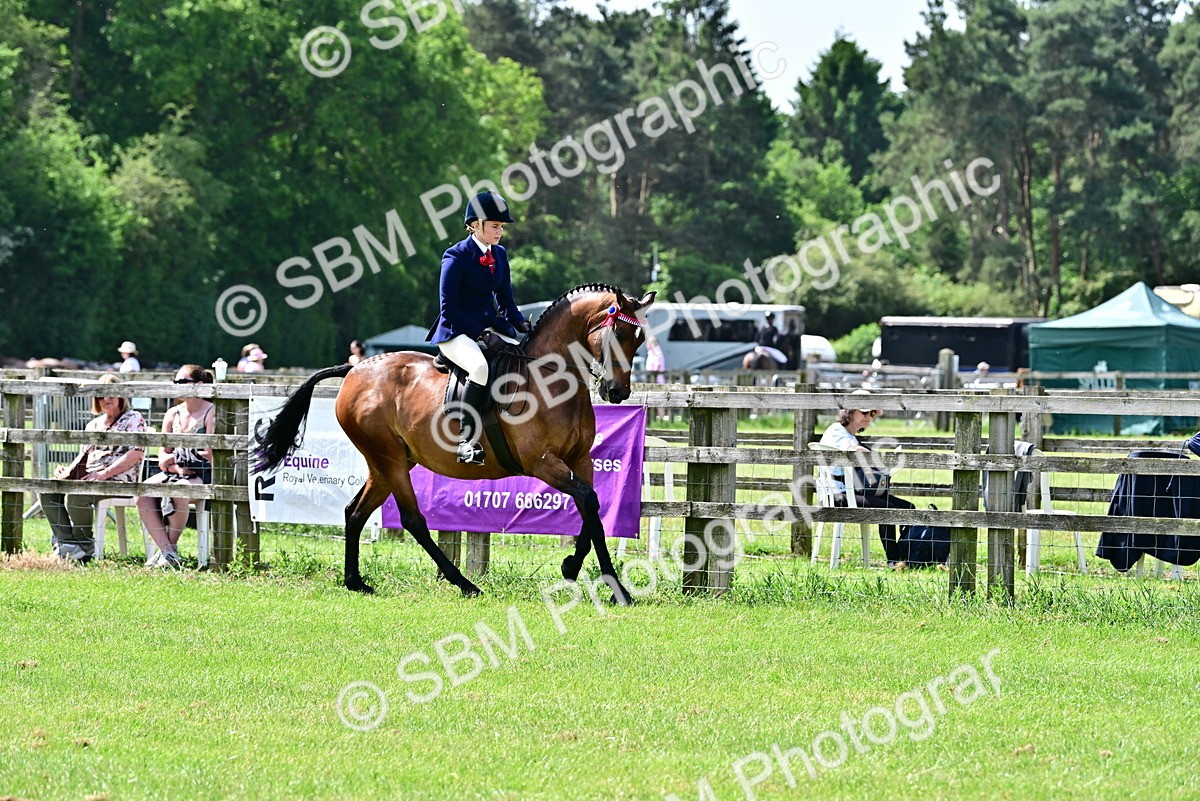 SBM_03729 - Class 58 - TSR  Ridden Veteran Amateur of the year