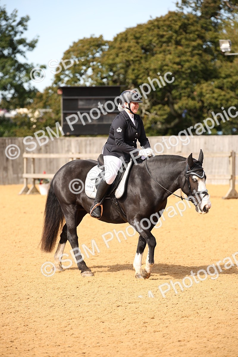 SBM_24101 - D5 - Small Tour Championship - Intro C