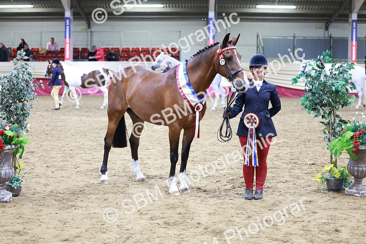 SBM_20145 - Class C - Novalty Champ
