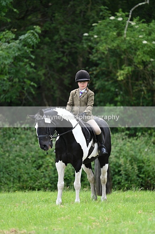 WJ7_2210 - Class 12A Coloured Class
