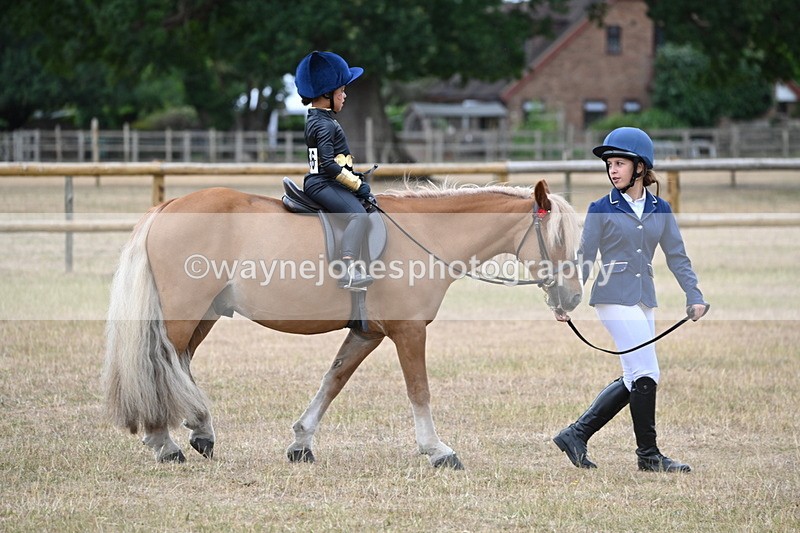 WJ6_8809 - Class 11 Fancy Dress