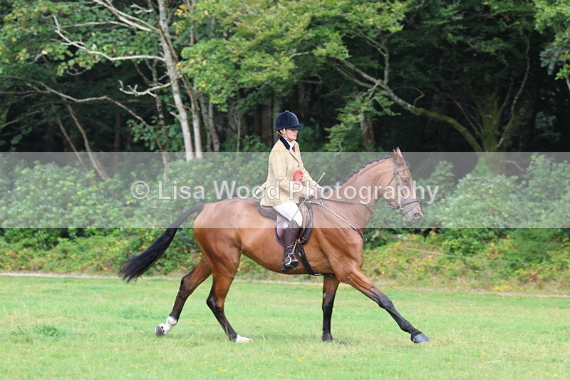 3E7A6084 - Working Hunter Championship