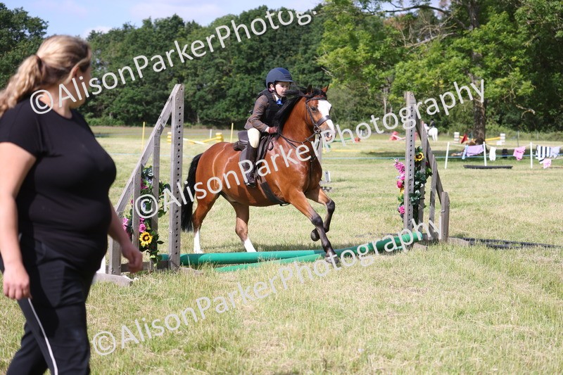 20260614-0478 - Class 20 - Beginners Working Hunter Pony