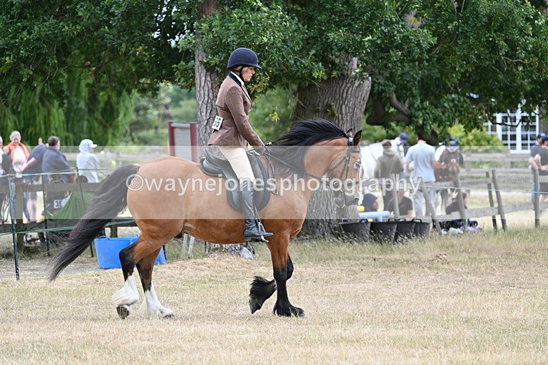 WJ7_0510 - Class 6 Ridden Mountain and Moorland