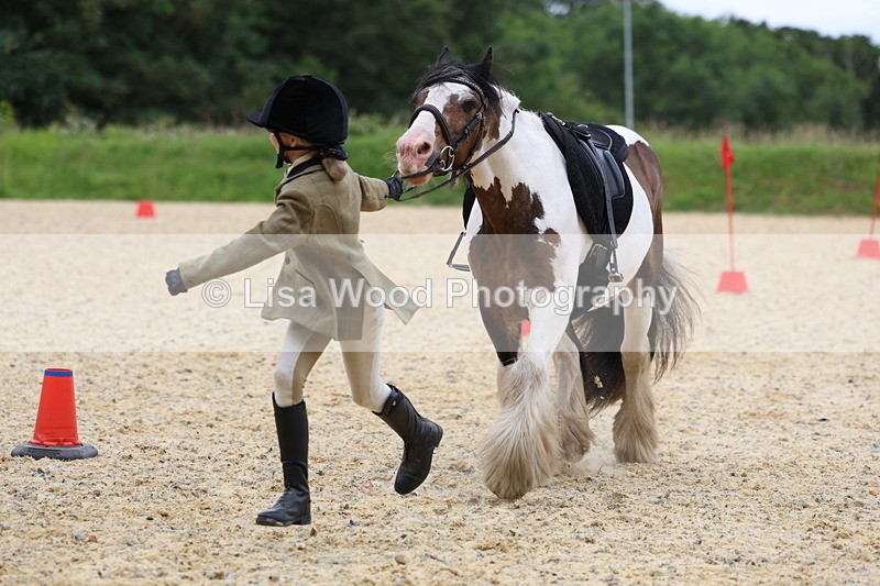 3E7A9690 - Walk trot run