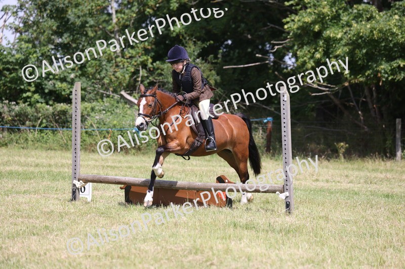 20260614-1751 - Class 21 - Novice Working Hunter Pony