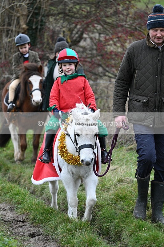 WJ7_0961 - First Seen