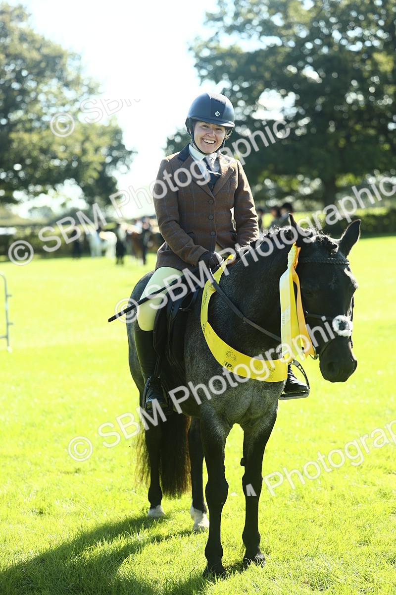 SBM_39101 - S29 - Novice & Newcomers Working Hunter Pony