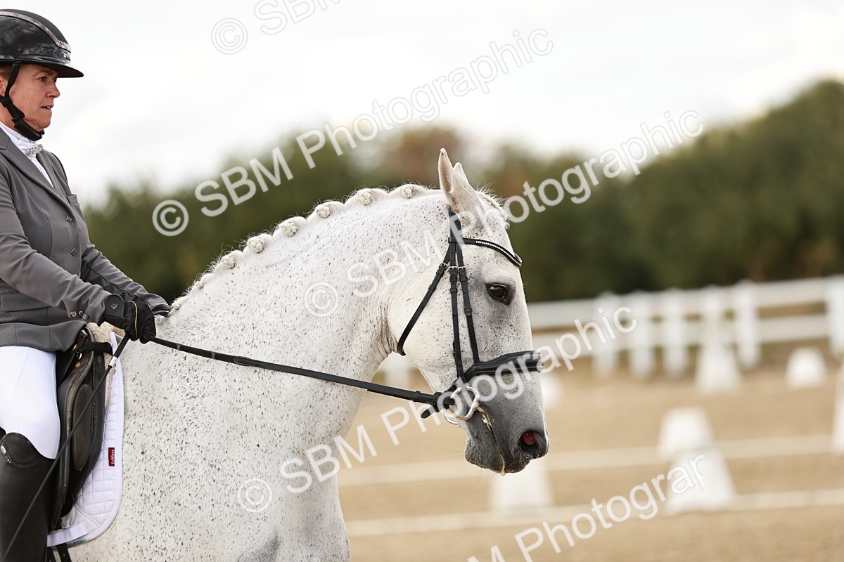 SBM_010781 - Class 17 - E6