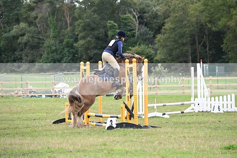 WJ6_0476 - 40cm Time 10:29 to 10:52