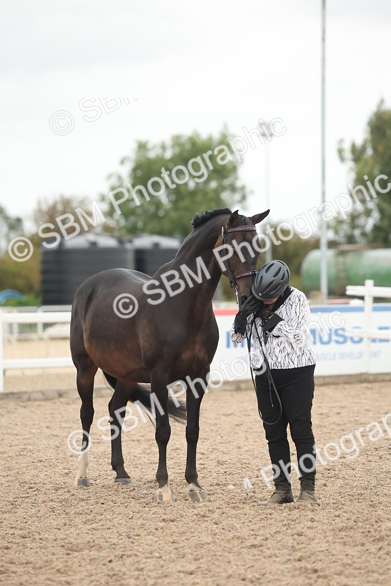 SBM_19397 - Class 317 - IH Pure Bred Horse-Pony