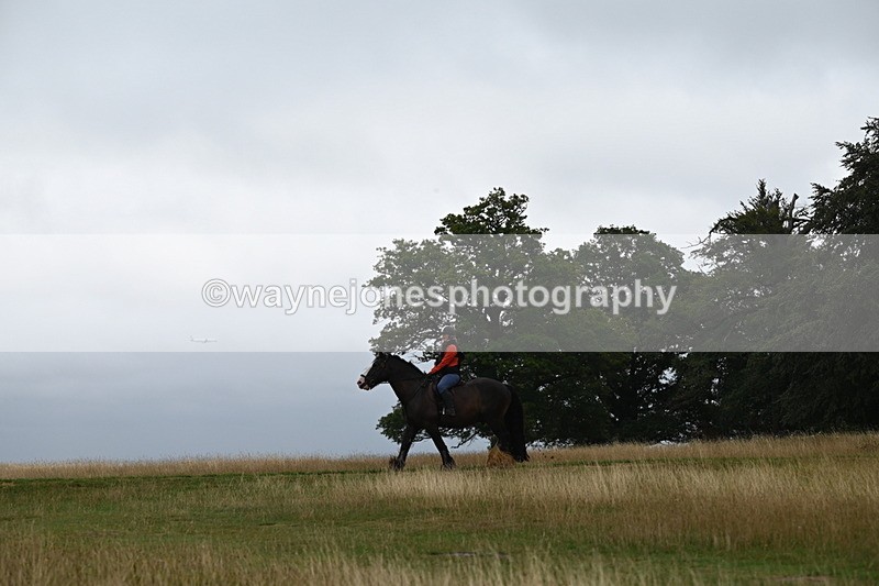 DSC_0185 - Time at Statue 09:51 to 10:54