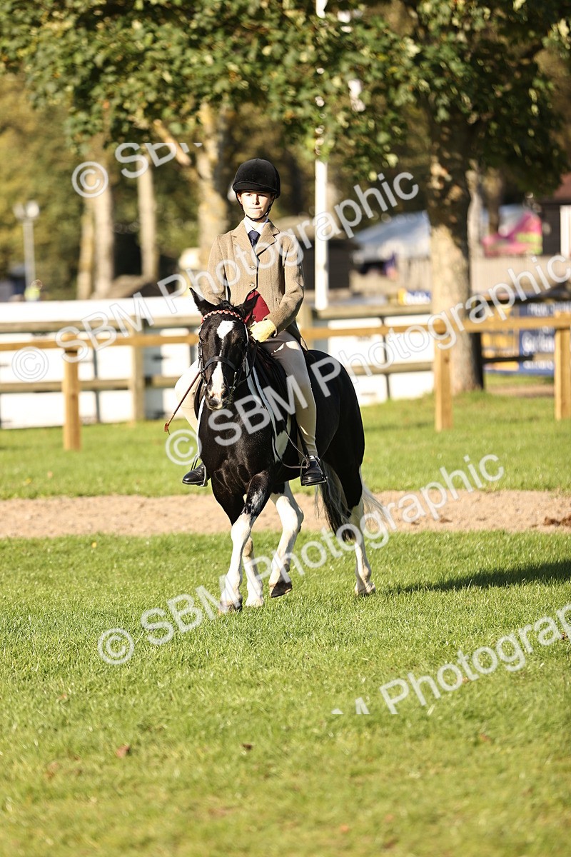 SBM_29439 - S7 - Novice & Newcomers Ridden Pony
