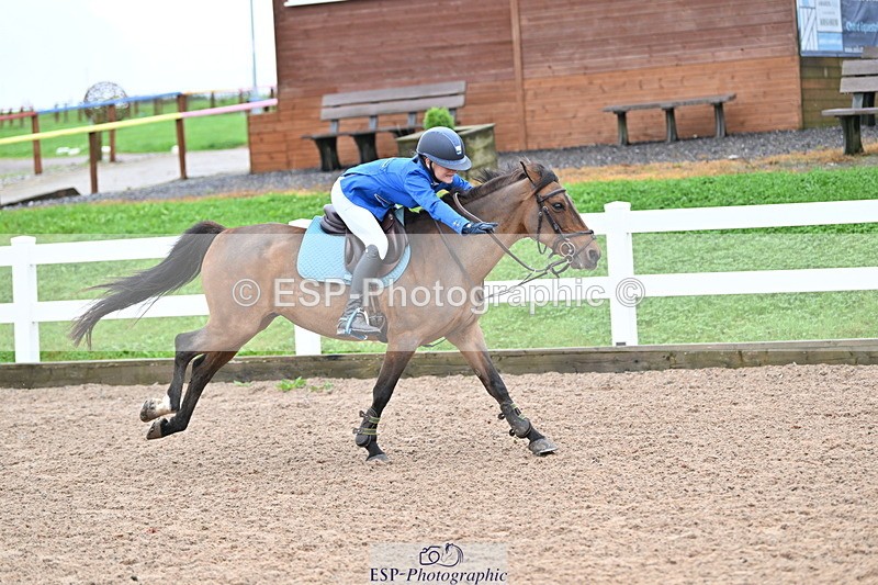 240908A-111308-03280 - Cls 18 A&B Pony Brit Nov & 80 Opern