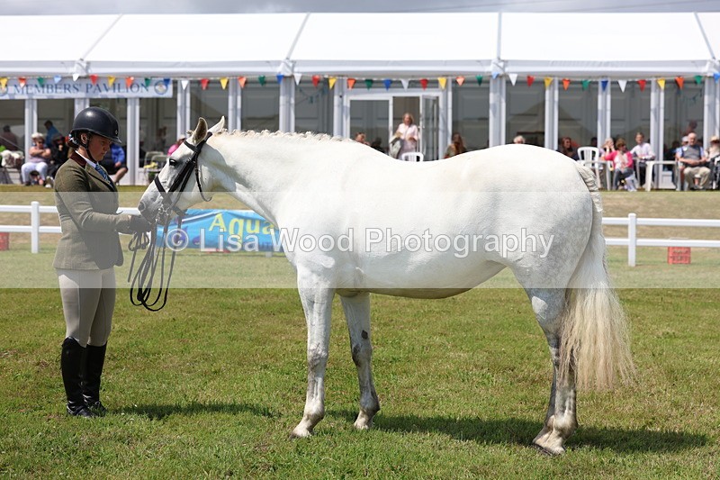 3E7A1711 - Class 9: Open Hunter