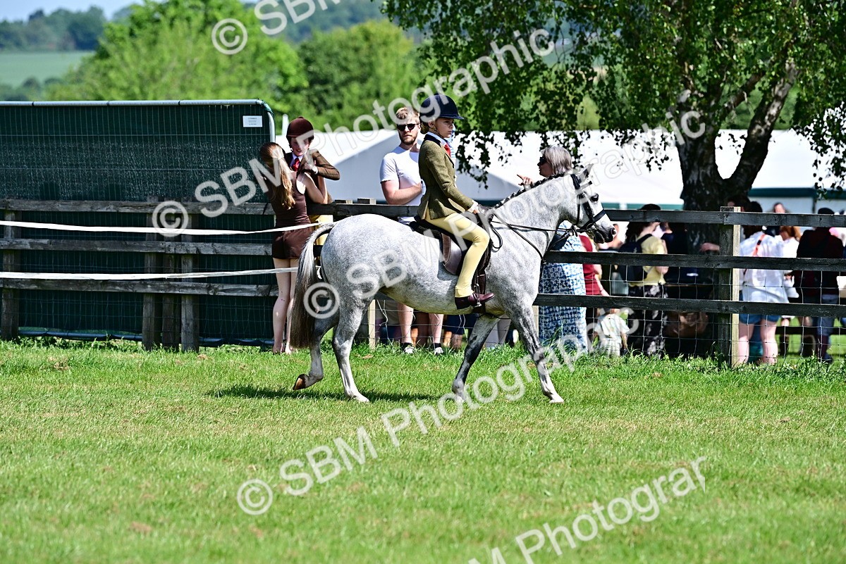 SBM_13864 - Class 95-97 - BSPS LHS Performance Ponies