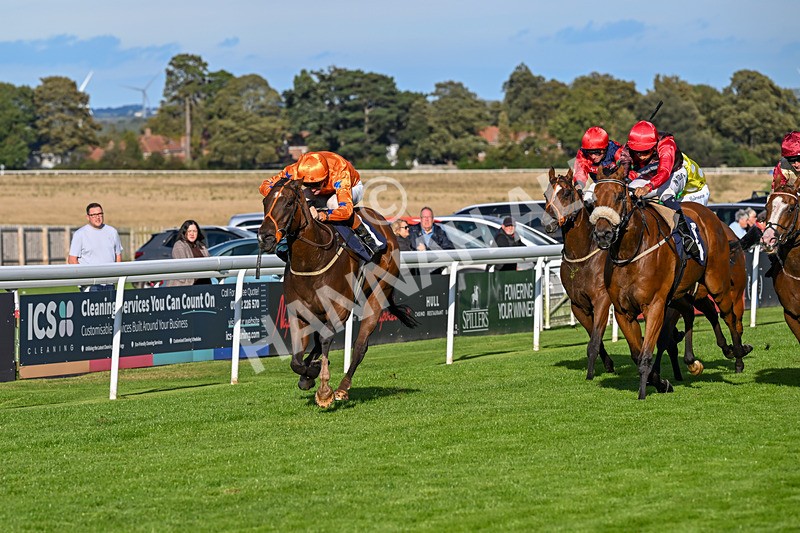 170925-Race 6-Elegant Erin-5786 - Race 6