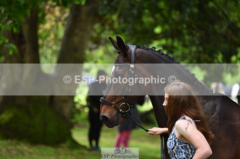 240522-155720-00605 - 108-DROUGHTVILLE_MIKE-Georgina_Beeby_Wynn