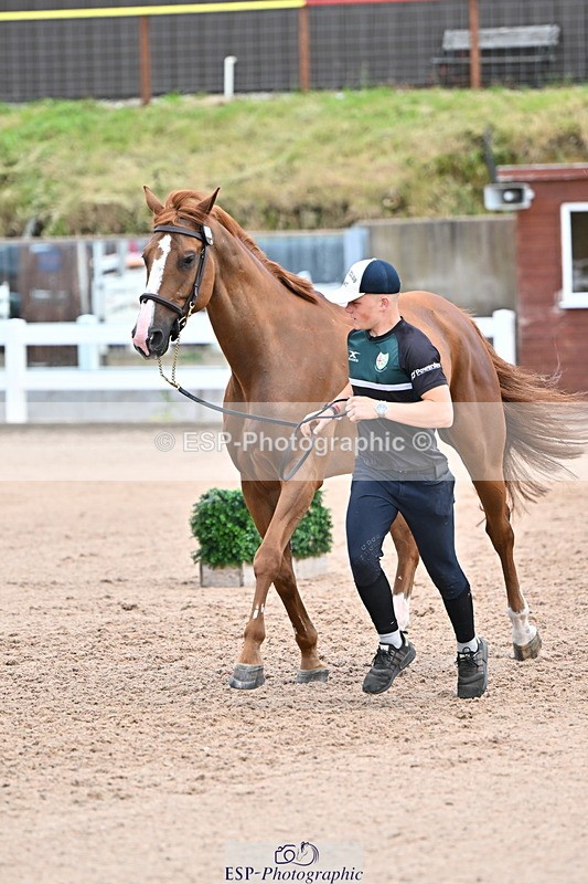 240718A-105324-01955 - Trot Up 2pm to 3pm - This folder is not in time order
