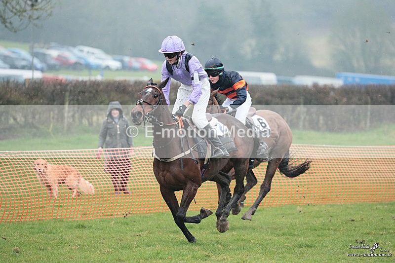 PtP 100324 307 - Pytchley with Woodland Point-to-Point Guilsborough 10/03/24