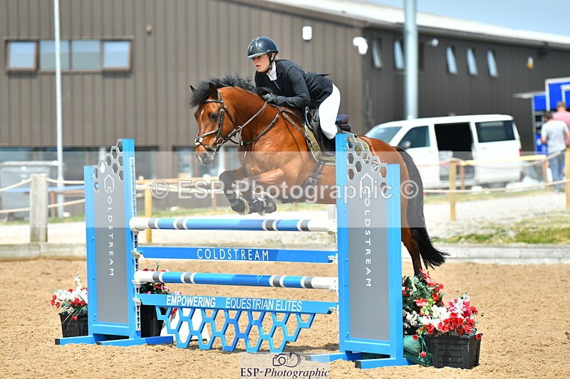 230609A-130117-01084 - Cls 3 Foxhunter