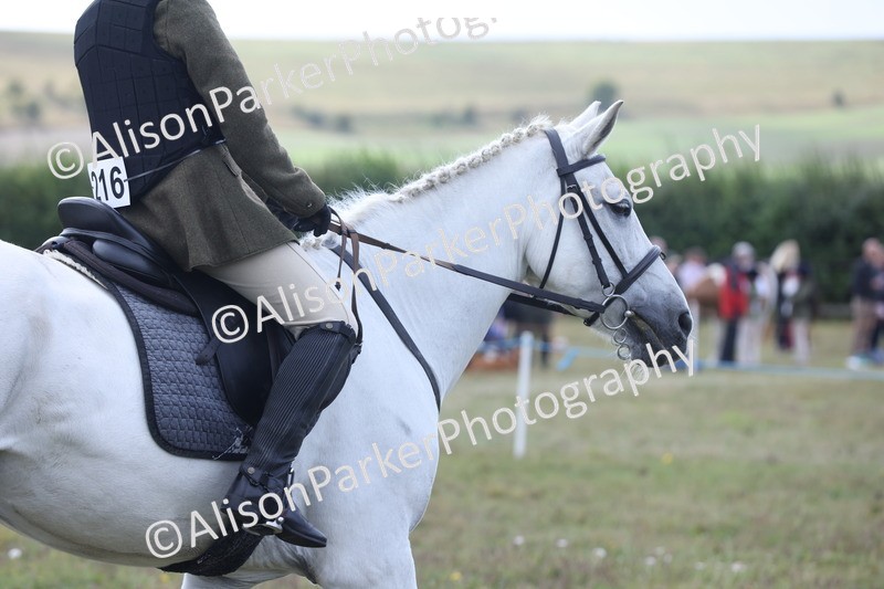 20250831-1220 - Class 15 - Ridden Veteran