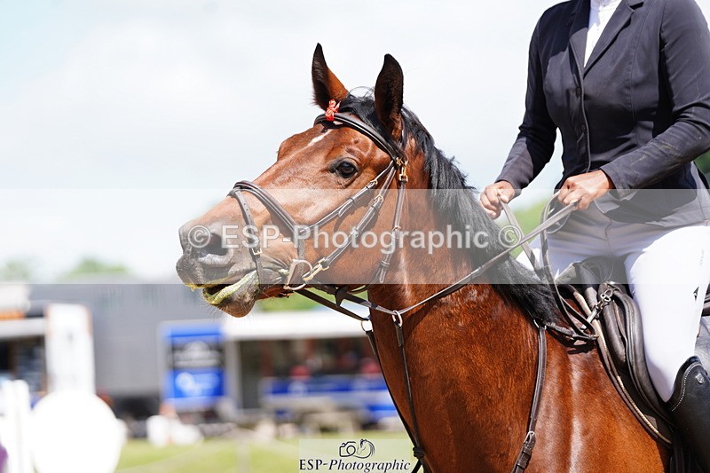 250615A-113204-10468 - Class 45 95cm Amateur Qualifier