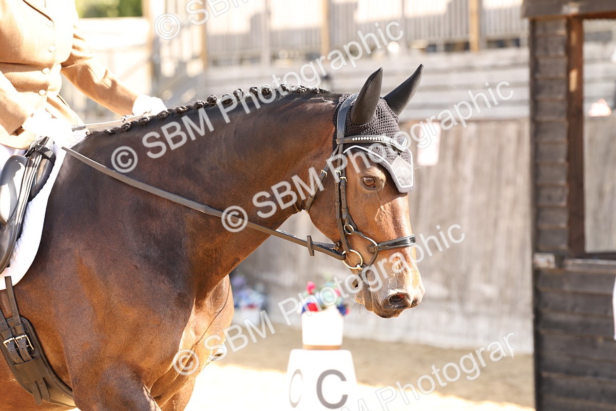 SBM_16253 - D10 - Small Tour Championship Prelim 2