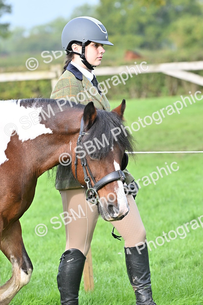 SBM_56855 - S45 - Coloured Pony In Hand