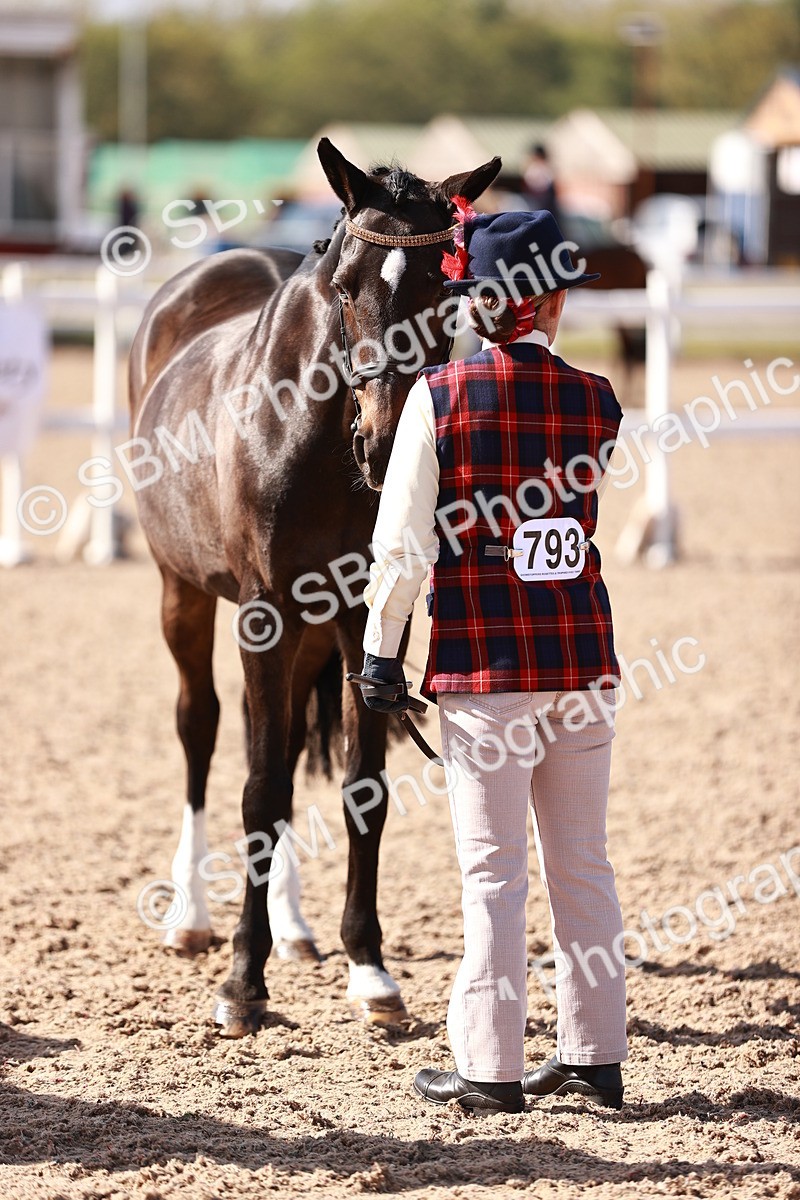 SBM_22800 - Class 705 - IH Combination 65+