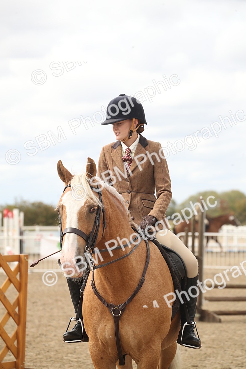 SBM_17666 - Class 508a - Working Veteran 70cm (15-19)