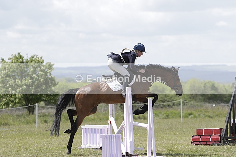 BVHT 140517 N-222 - Class 2 SJ Novice 14/05/17