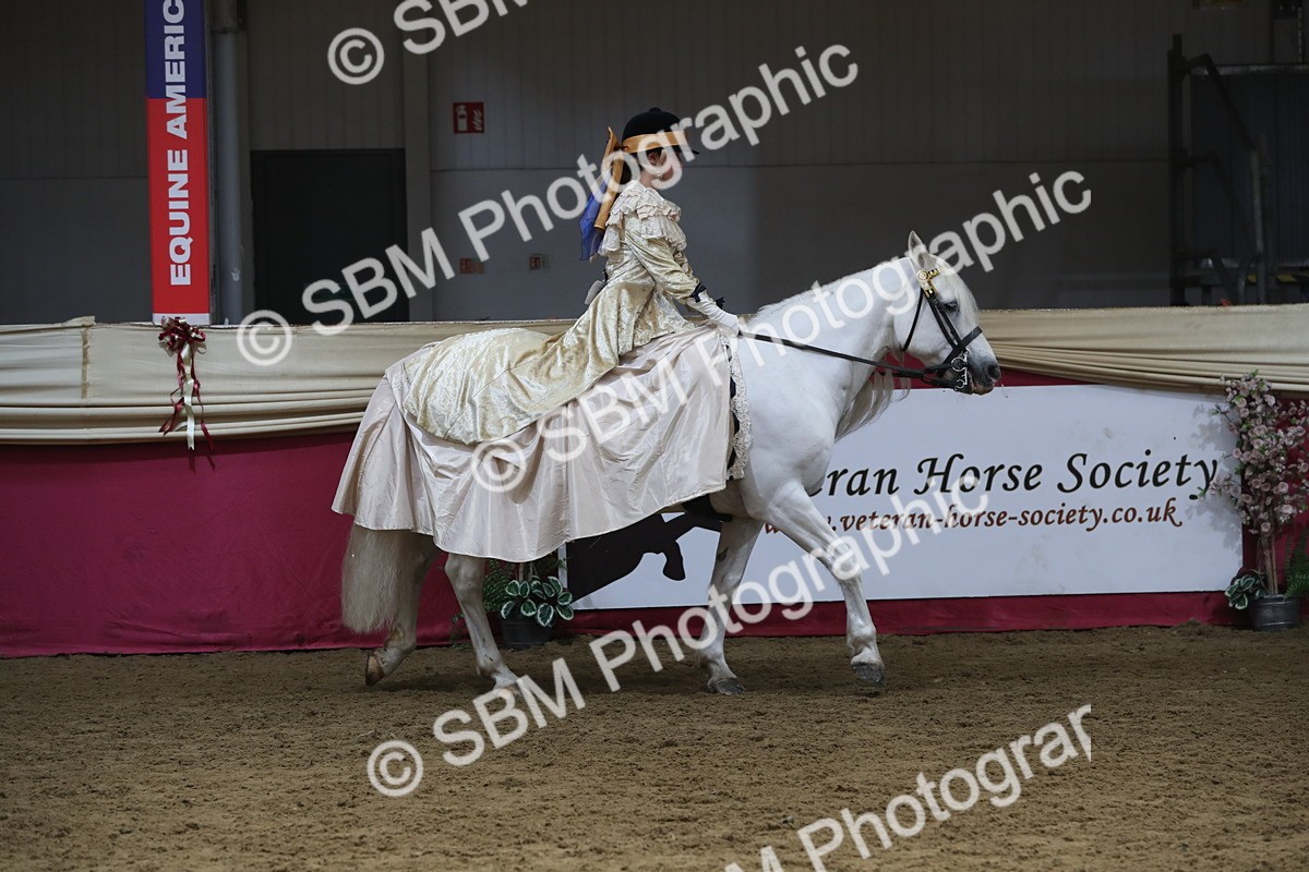 SBM_11201 - Class 104 Ridden Costume - Astride Junior