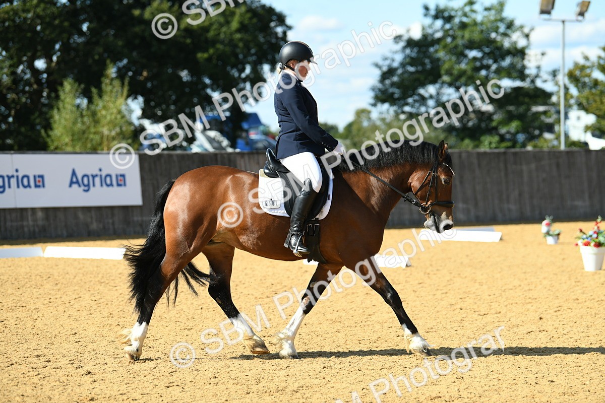 SBM_25024 - D13 - Grand Tour Championship - Prelim 12