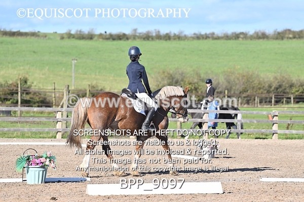 BPP_9097 - SHORT ARENA
