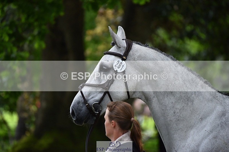 240522-164600-01139 - 281-UNSTOPPABLE_VAN_'T_CRAEYNEST_Z-Valentine_Emsens