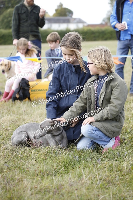 20250831-3637 - Dog Show