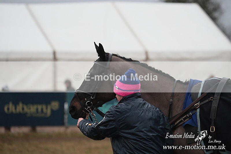 PtP 260125 954 - Cocklebarrow Point-to-Point racing with the Heythrop Hunt 26/01/25