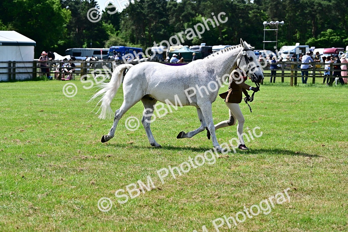 SBM_03886 - Class 58 - TSR  Ridden Veteran Amateur of the year
