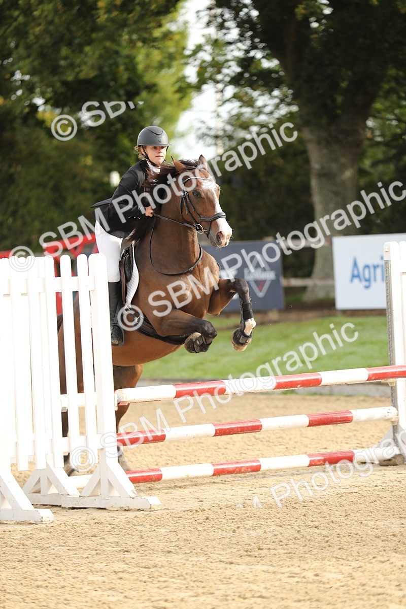 SBM_56176 - J24 - Junior Horse 75cm Championship